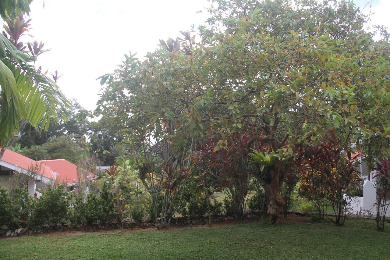 בל אומברה Daniella'S Bungalows מראה חיצוני תמונה