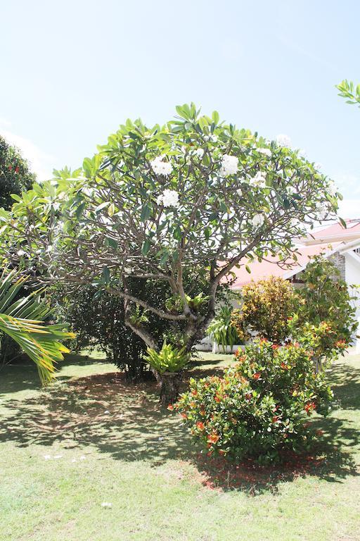 בל אומברה Daniella'S Bungalows מראה חיצוני תמונה